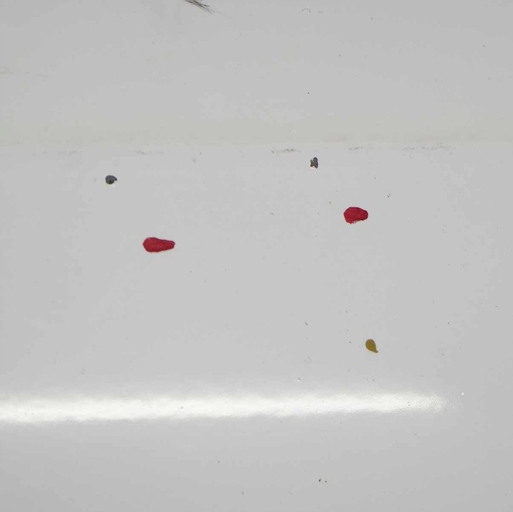 фото №12, Ford transit connect капот двигуна заморожений білий z2