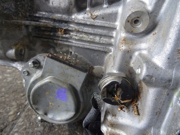 фото №12, Коробка передач коробки передач dw5007 renault 1.3 tce