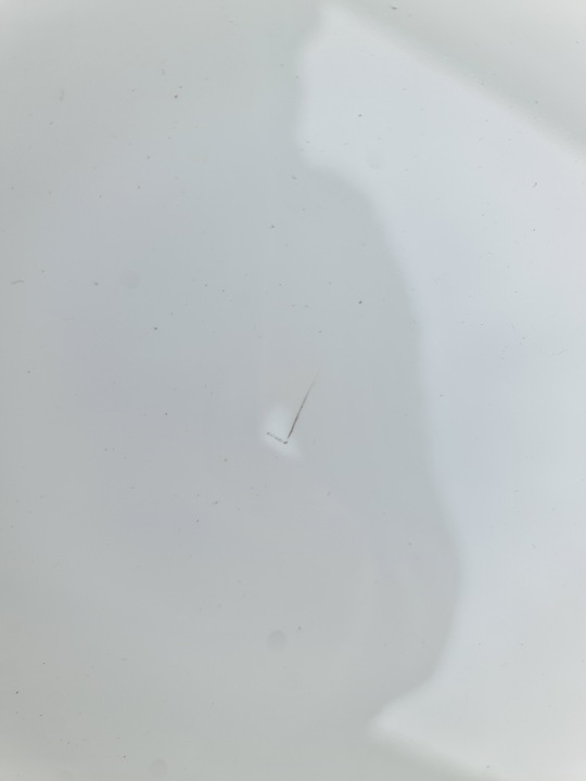 фото №7, Bmw g20 g80 крышка зад спойлер спойлер карбон a300