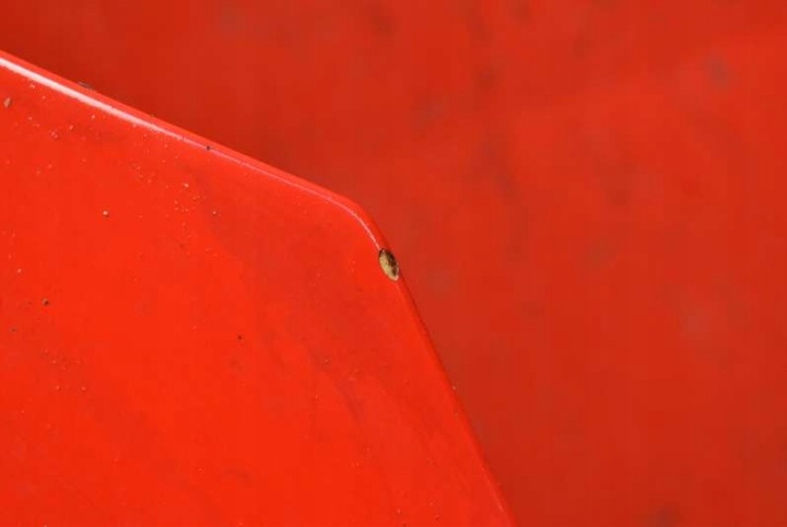 фото №4, Капот кришка двигуна червона toyota yaris 1 i 99-03
