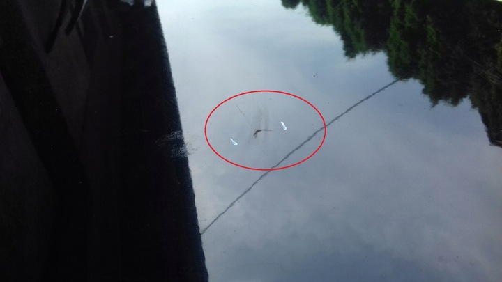 фото №6, Капот крышка перед передняя kia cerato i 03-08 eb