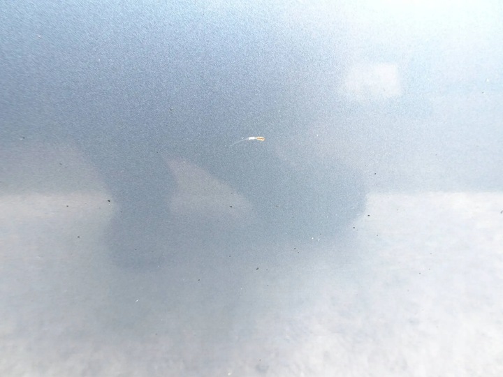 фото №6, Двері лівий перед mazda 6 gj 12-18r.