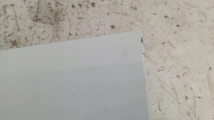 фото №10, Audi q5 80a планка дверь левый перед 80a853959l