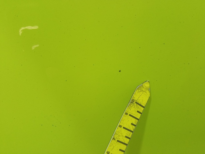 фото №12, Bmw m4 g82 g83 крило перед лівий переднє c4h sao paulo gelb