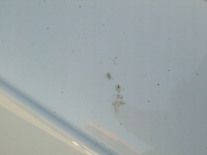 фото №9, Двері ліві лівий зад задні audi a7 4g c7 10- ly9c