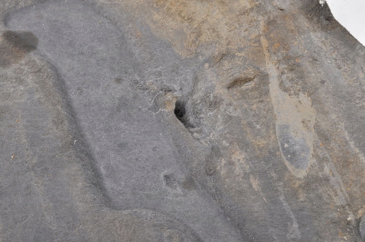 фото №15, Volvo xc90 ii xc60 v90 ii s90 ii 2.0 d4 захист нижня pod двигун 31378306