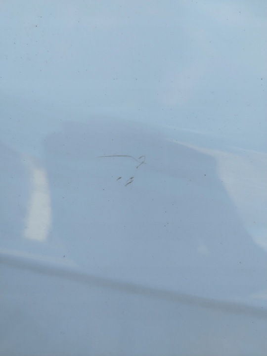 фото №9, Двері праві зад ford focus mk3 iii колір 5b 2010--- оригінал хетчбек hb