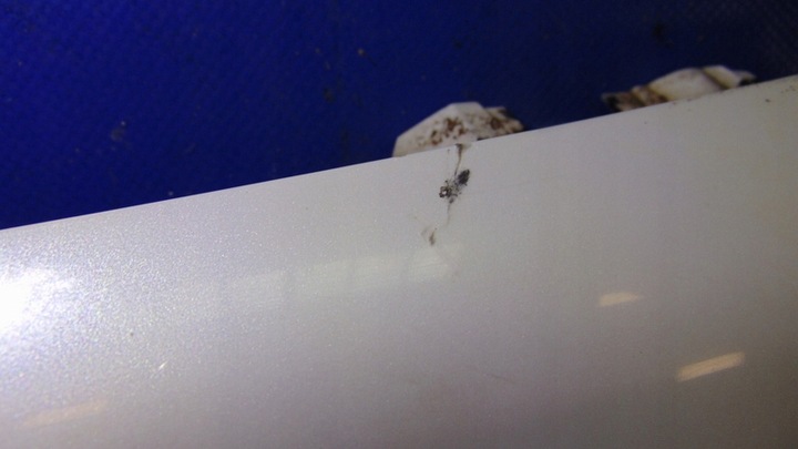 фото №6, Крило правий перед peugeot 3008 09-16r