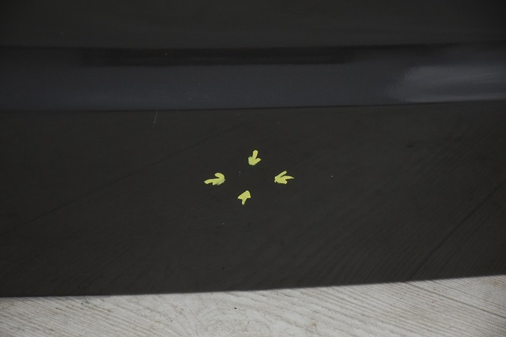 фото №3, Крышка задняя зад боки bmw x5 f15