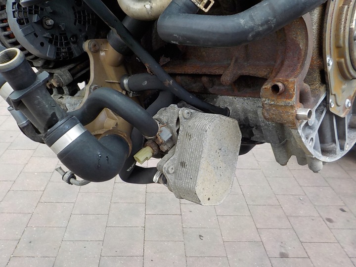 фото №8, Ford transit mk7 2.2 tdci двигун pgfa комплектний