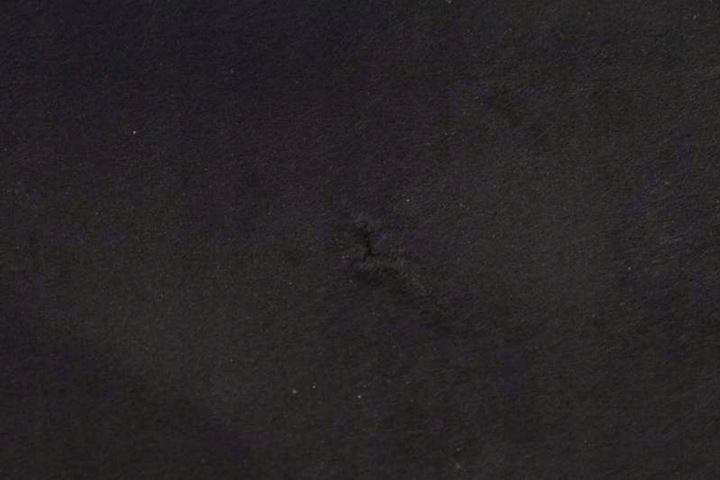 фото №9, Шумоізоляція підкладка килимок капота jx7b-a16746-a ford focus mk4 1.0 ecoboost