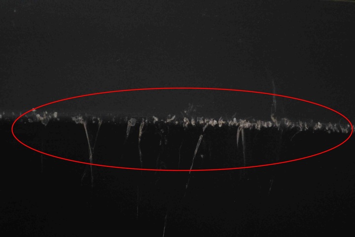 фото №13, Бампер задний audi a5 f53 8w6807521a 22062182 2017