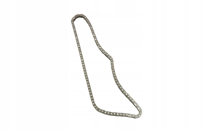 фото №2, Цепь распределительный вал fast ft41808