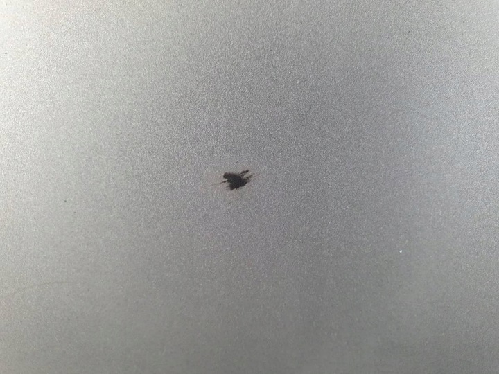 фото №11, Дверь зад сдвижные правые ford transit connect mk1