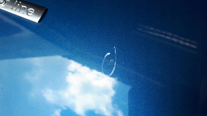 фото №8, A4 b8 s4 крыло правые перед переднее lx5v org