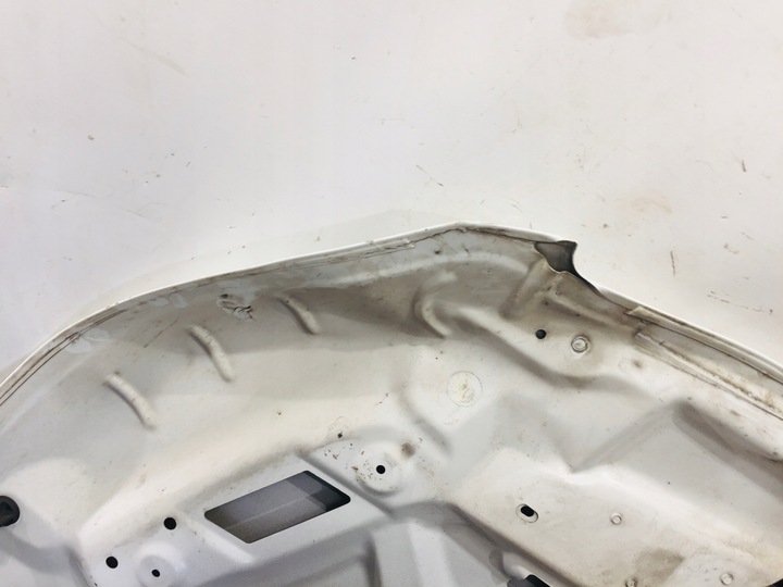 фото №10, Капот колір kwe kwed peugeot 308 t9 #141