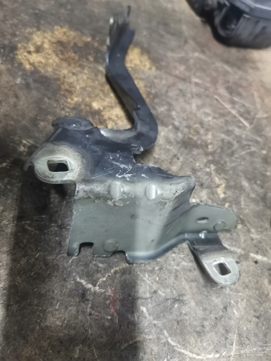 фото №8, Петля капота лівий laguna iii 654010001r ted69 teb66