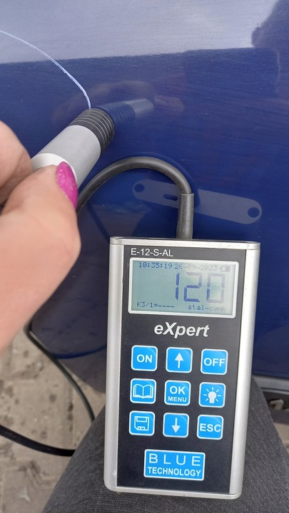 фото №9, Двері ліві перед renault thalia 03r sedan 5d