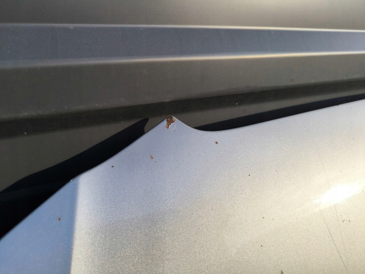 фото №13, Капот крышка двигателя audi a5 8t lx7w 2008-2011 оригинал !!!