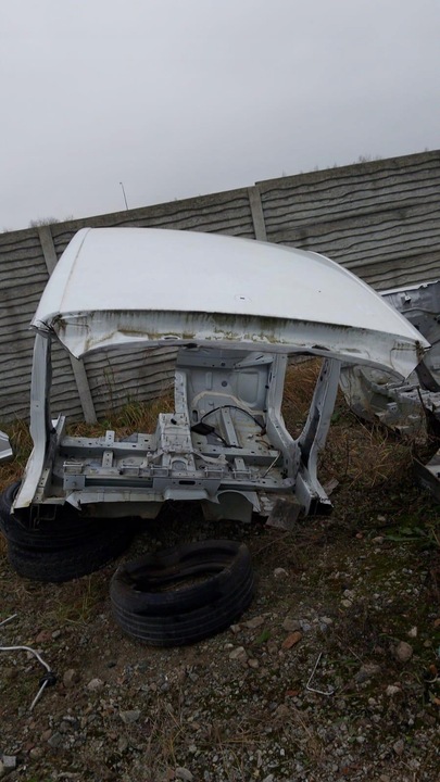 фото №1, Крыша renault scenic iii dv369