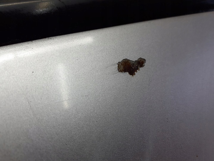 фото №7, Дверь левый перед opel vectra c z157