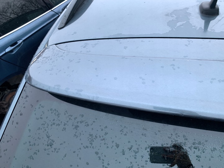 фото №13, Skoda superb iii універсал кришка багажника колір lf7y