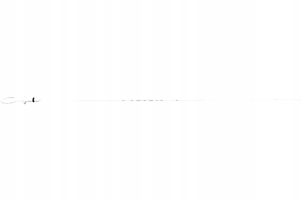 фото №2, Щуп масла metalcaucho