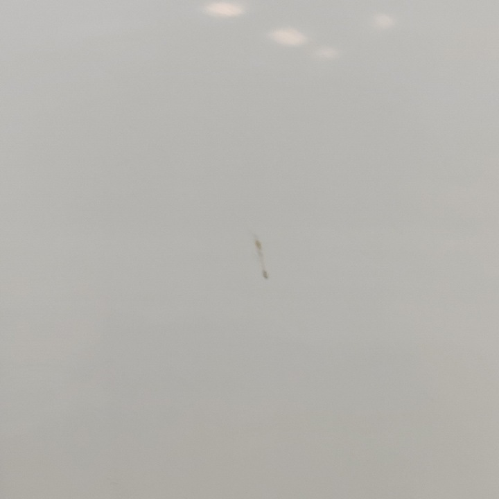 фото №7, Lexus rx 450h 2023 зад сторона права двері задні