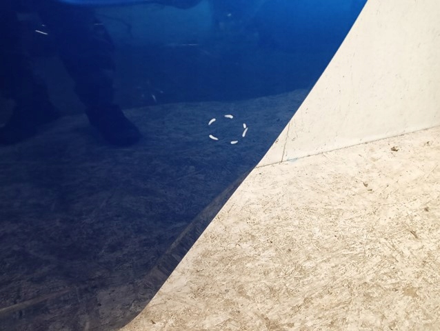 фото №2, Дверь левая задние левый зад skoda scala 657 19-