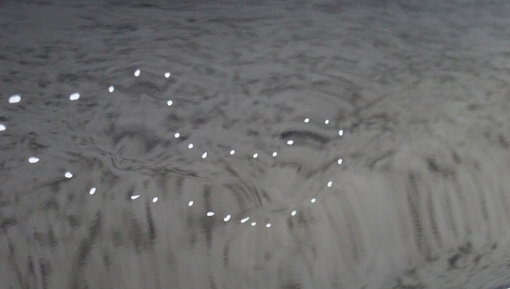 фото №10, Дверь левый зад mercedes c w204 c359 359 sedan