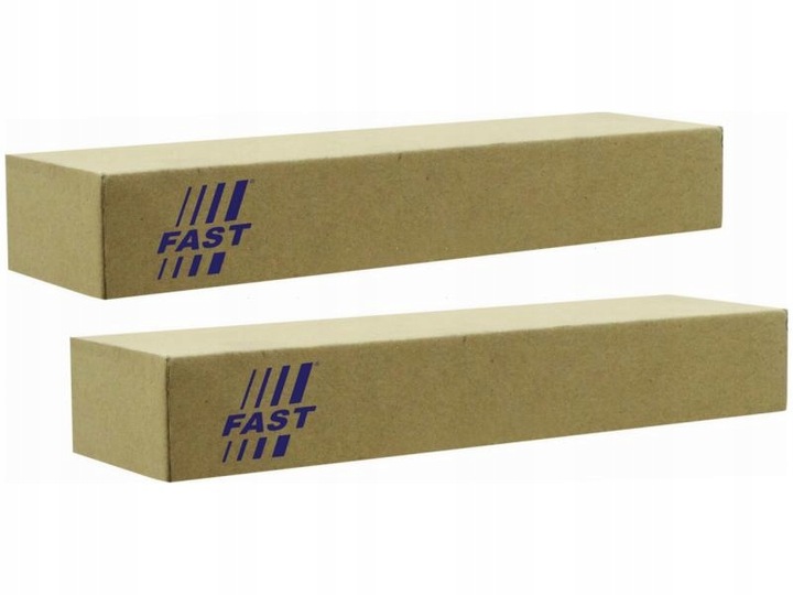 фото №1, Амортизатори зад fast ft11300