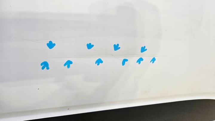 фото №7, Дверь передние перед правые dacia sandero 3 iii 82009138r 801123179r