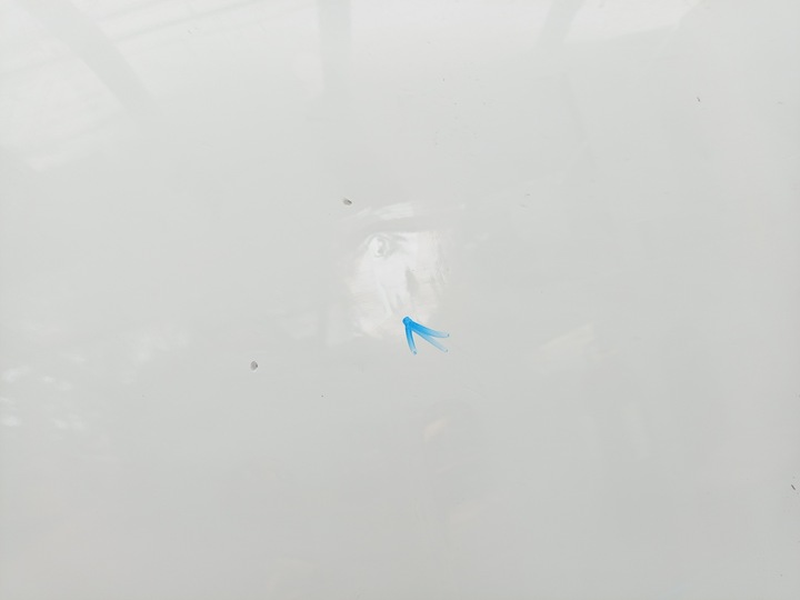 фото №9, Mercedes sprinter w907 w910 2018- капот кришка двигуна ÷