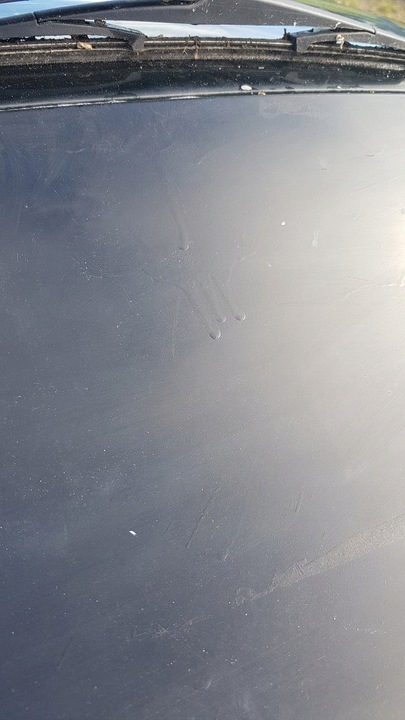 фото №13, Кришка багажника z1eq kia picanto ii