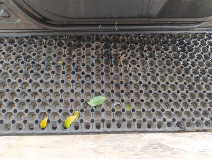 фото №9, Mercedes cls w219 дверь перед левый c197