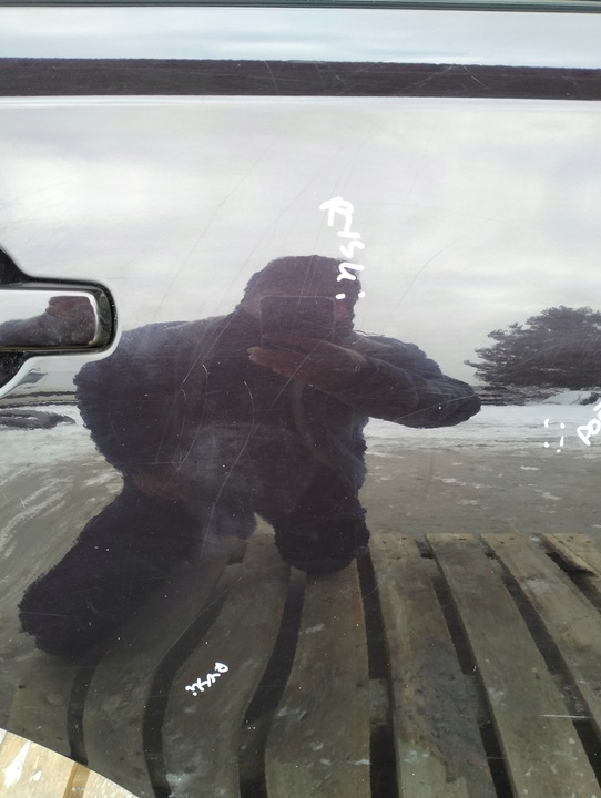 фото №7, Дверь правые зад задние nissan qashqai i j10 07-10 оригинал лак gab