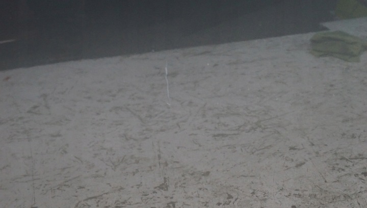 фото №13, Дверь левый перед mazda 6 gh ii