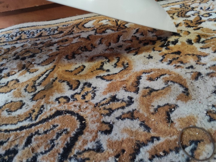 фото №9, Крыло правые skoda superb 2 08-13 lf9e