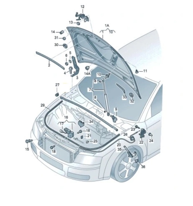 фото №1, Audi a4 b6 прокладка капота pod решітка