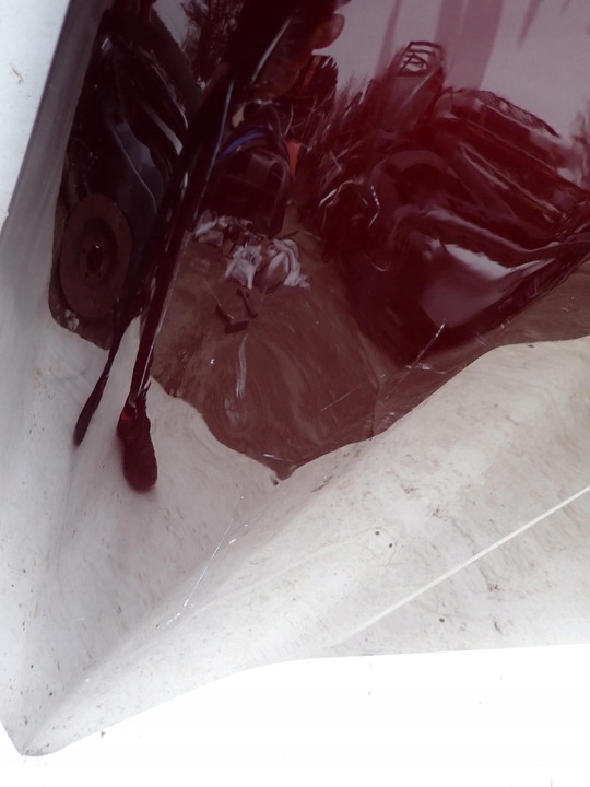 фото №3, Ford edge ii mk2 рестайлінг 18-21 капот кришка двигуна