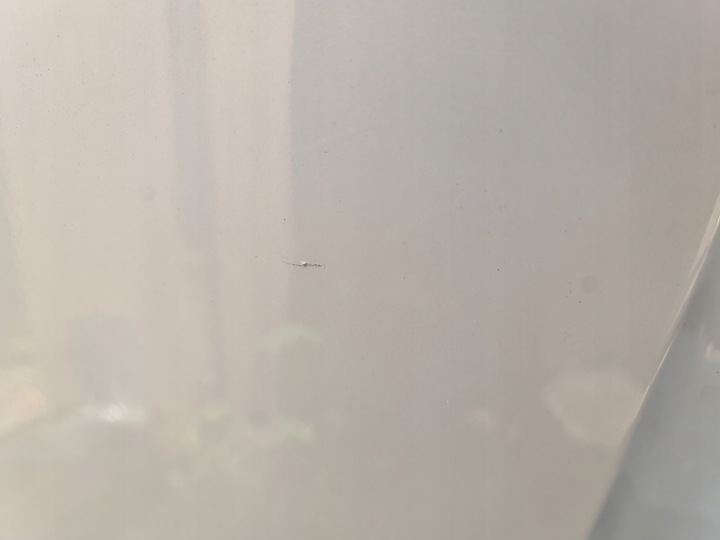 фото №8, Bmw g20 дверь правые зад a96 минерально-белый