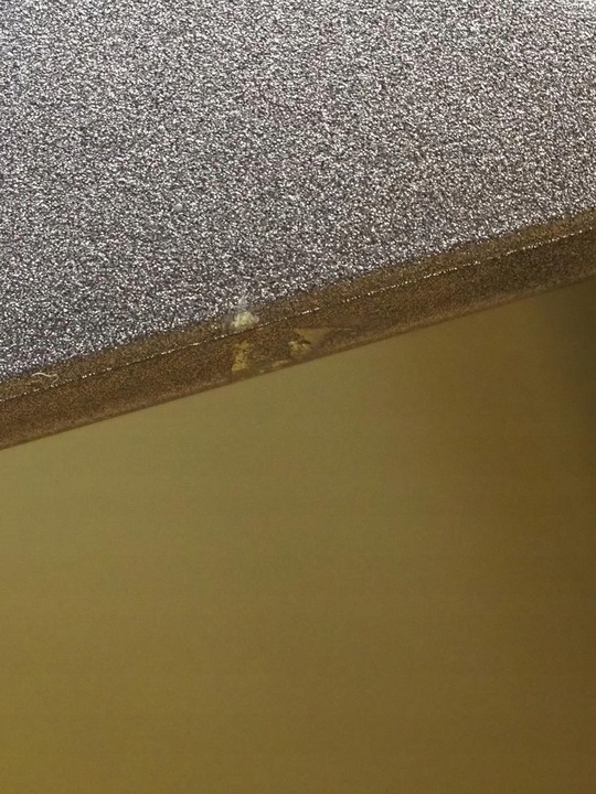 фото №12, Кришка зад задня nissan qashqai iii 3 j12 2021-