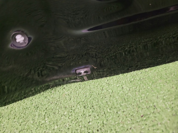 фото №6, Vw volkswagen tiugan ii 2 5n 5na двері праві передні праві перед