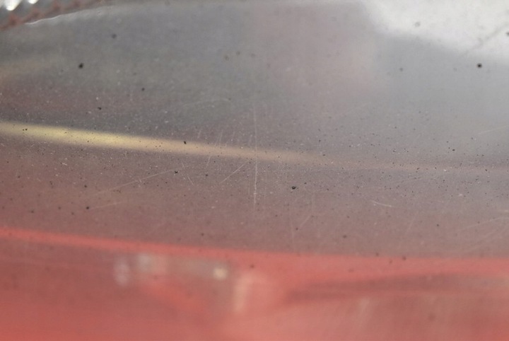 фото №14, Фара лівий лампа перед лінза eu 155887-01 opel signum 03-08