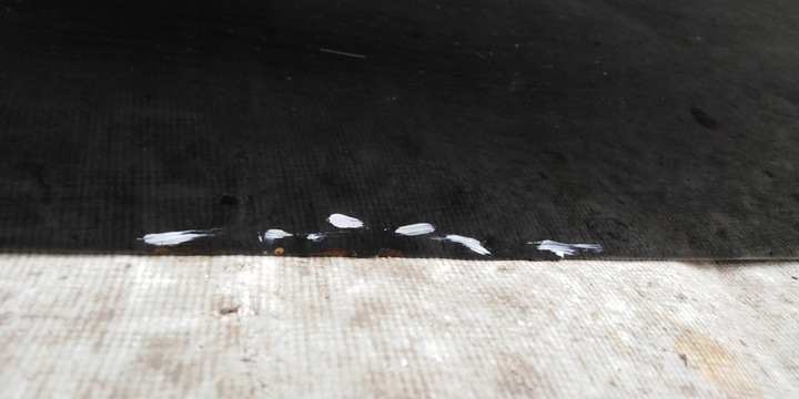 фото №10, Vw t5 дверь правые перед 03r-