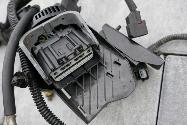 фото №7, Жгут установка двигателя mk7 fiesta 1.0 ecoboost bez turbo c1bt-12a522-sff