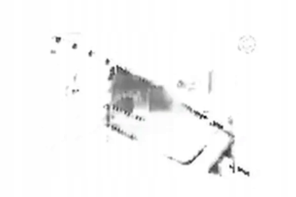 фото №1, Ручка права зад внутрішня хром 620 007 topran