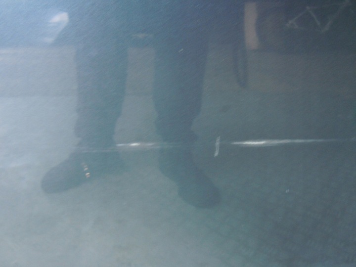 фото №3, Двері праві перед citroen c4 grand picasso ezw