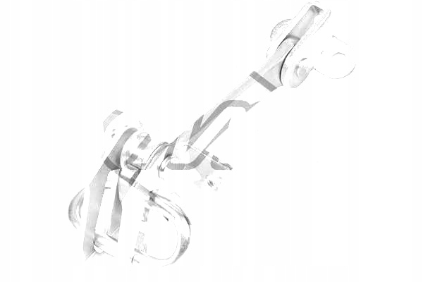 фото №2, Петля двері metalcaucho