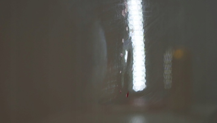 фото №14, Fiat 500 двері ліві d2027